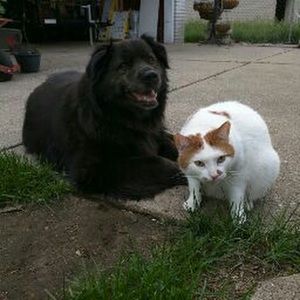 Meet your Posher, Josh